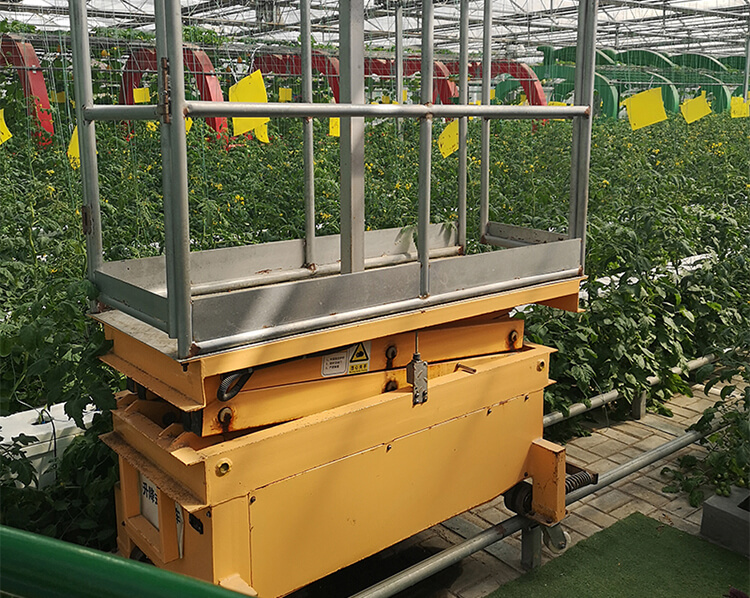 Orchard Picking Platform Lift